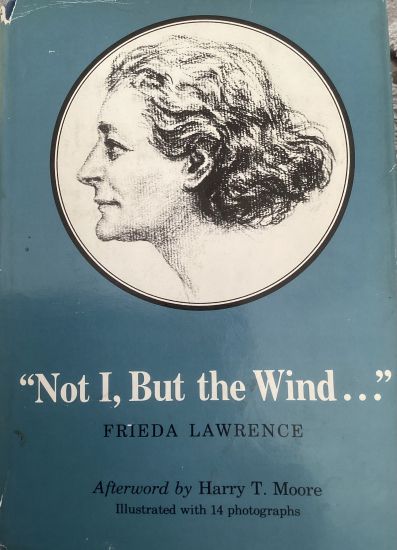 Not I but the Window