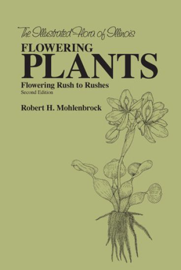 The Flowering Plants: Flowering Rush to Rushes