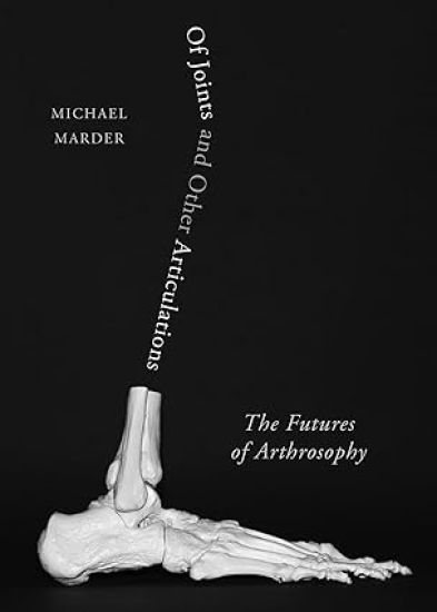 Of Joints and Other Articulations