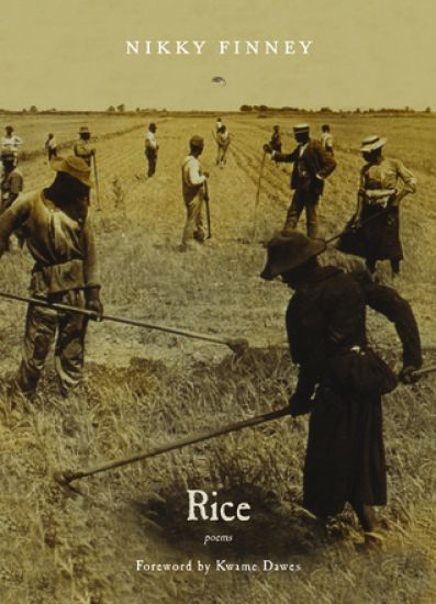 Rice
