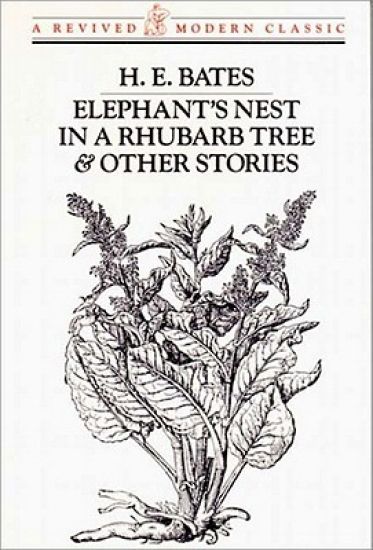 Elephant's Nest In A Rhubarb Tree & Other Stories