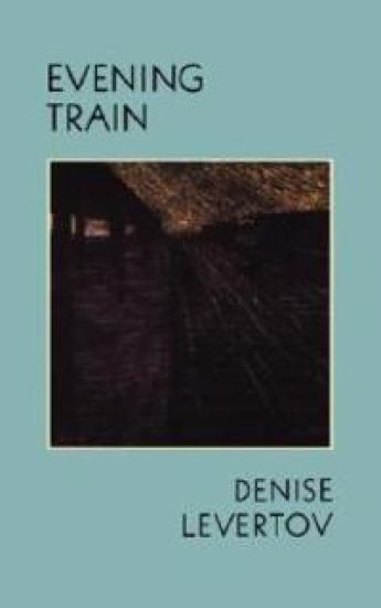 Evening Train: Poetry