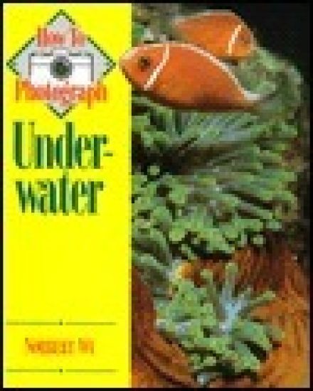How to Photograph Underwater
