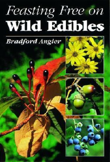 Feasting Free on Wild Edibles