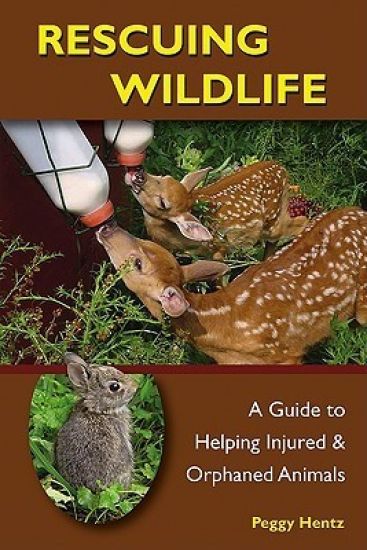 Rescuing Wildlife