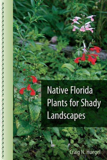 Native Florida Plants for Shady Landscapes
