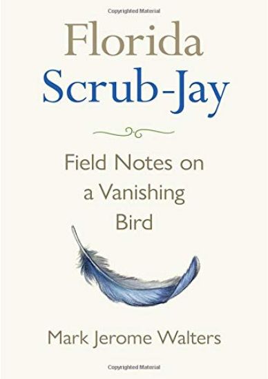Florida Scrub-Jay