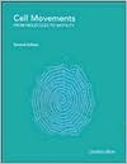 Cell Movements