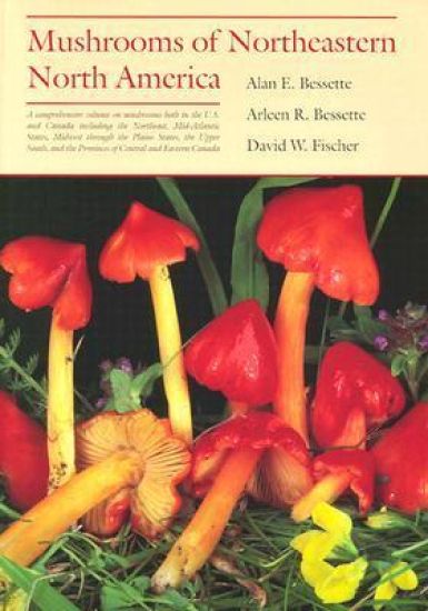 Mushrooms of Northeastern North America