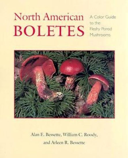 North American Boletes