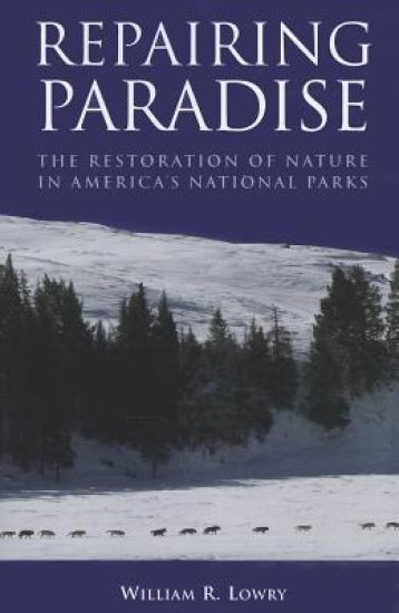 Repairing Paradise