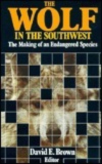 The Wolf in the Southwest