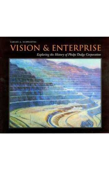 Vision and Enterprise