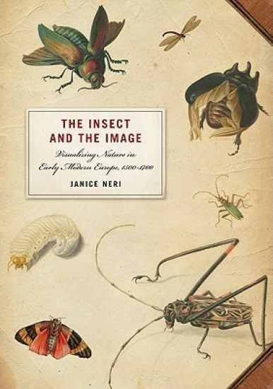 The Insect and the Image