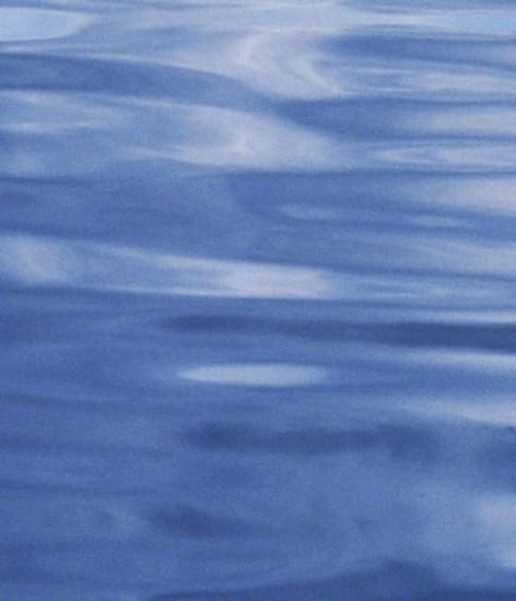 Bureaucracy and Statesmanship