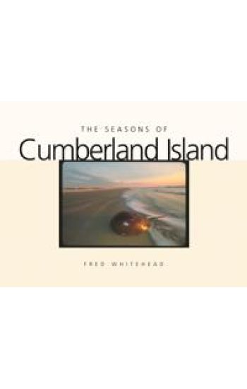 The Seasons of Cumberland Island