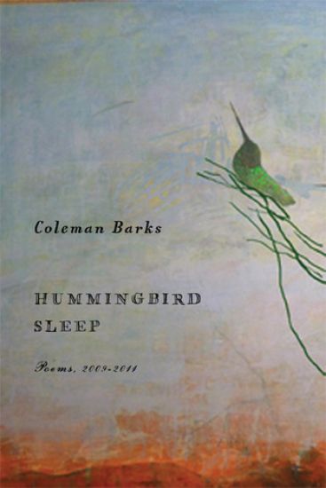 Hummingbird Sleep