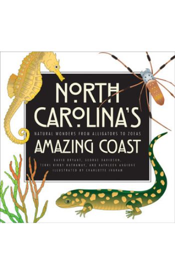 North Carolina's Amazing Coast