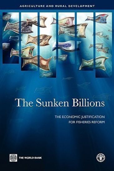 The Sunken Billions
