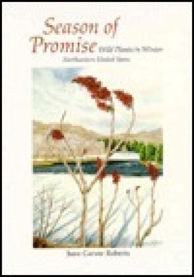 Season of Promise