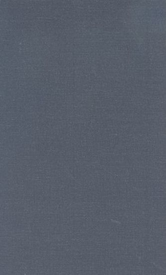 Human Rights in the Maya Region