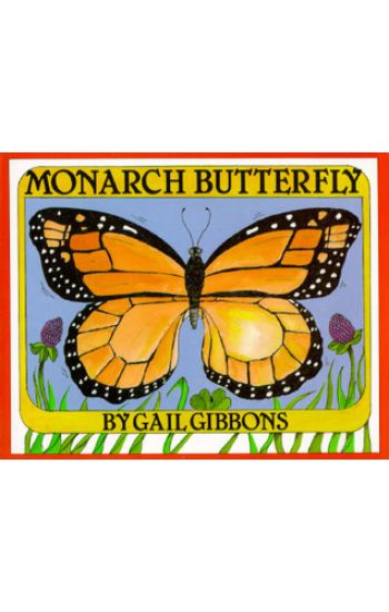 Monarch Butterfly