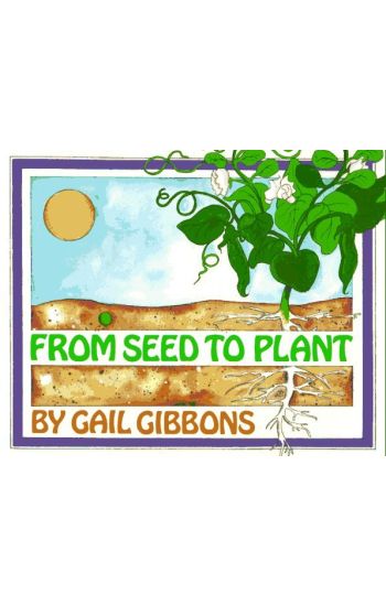 From Seed to Plant