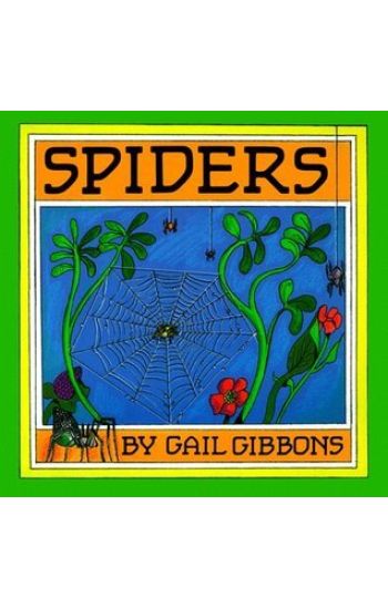 Spiders