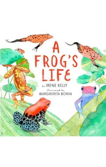A Frog's Life