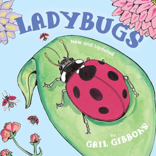 Ladybugs (New & Updated)