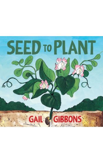 Seed to Plant