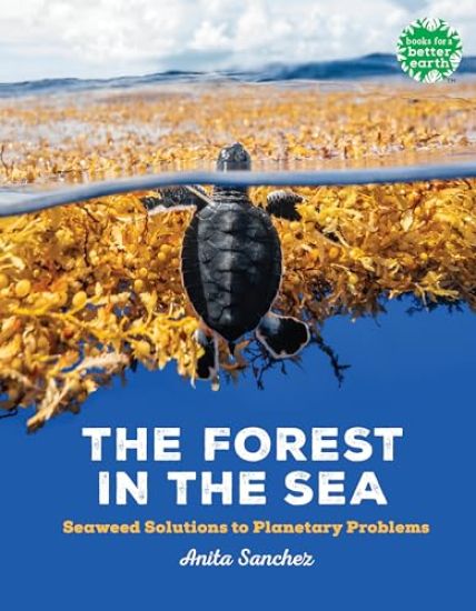 The Forest in the Sea