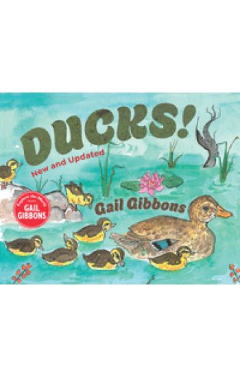 Ducks! (New & Updated)