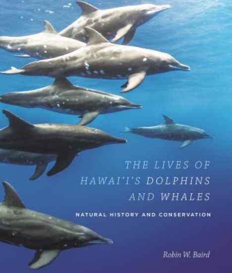 The Lives of Hawai‘i's Dolphins and Whales
