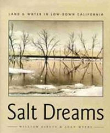 Salt Dreams