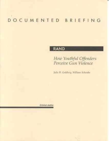 How Youthful Offenders Perceive Gun Violence