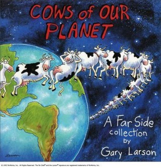 Cows of Our Planet
