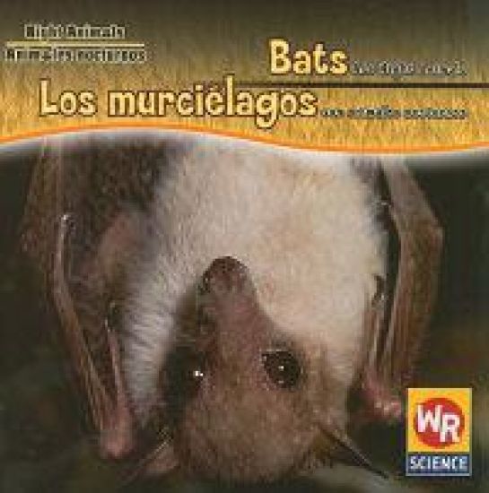 Bats Are Night Animals / Los Murciélagos Son Animales Nocturnos