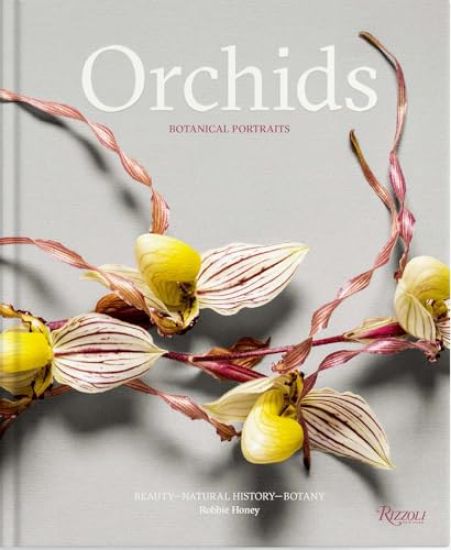 Orchids: Botanical Portraits: Beauty, Natural History, Botany