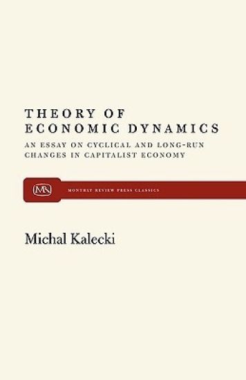 Theory of Economic Dynamics