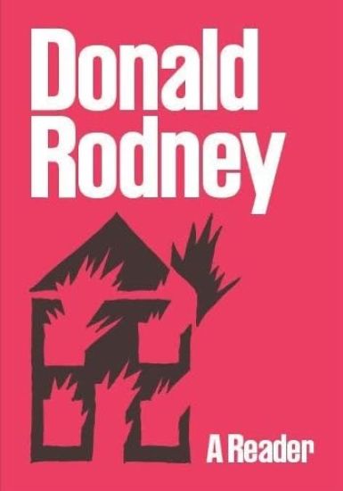 Donald Rodney: A Reader