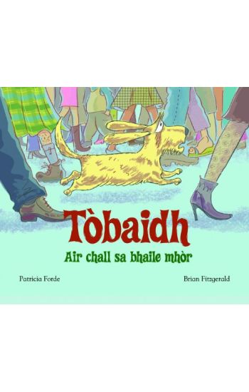 Tobaidh Air Chall Sa Bhaile Mhor