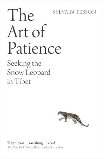 The Art of Patience