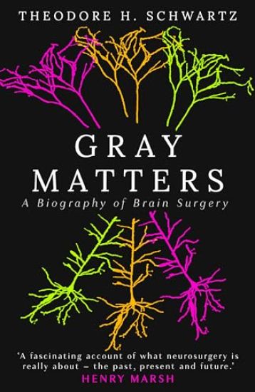 Gray Matters