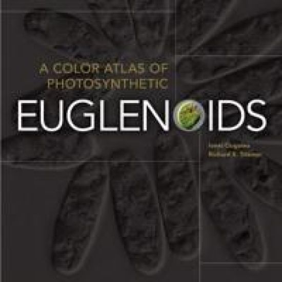 A Color Atlas of Photosynthetic Euglenoids