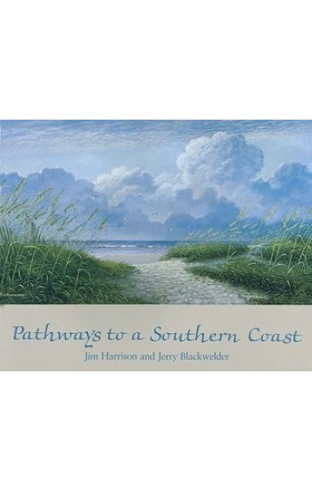 Pathways to a Southern Coast