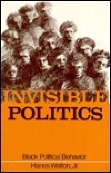Invisible Politics