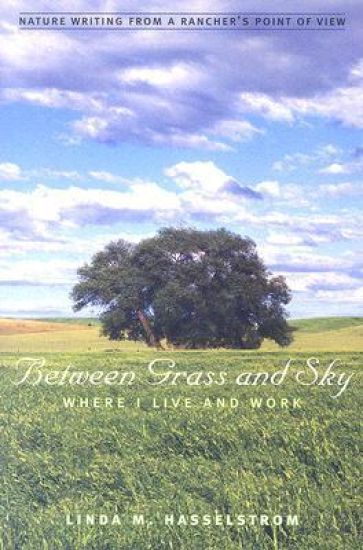 Between Grass and Sky