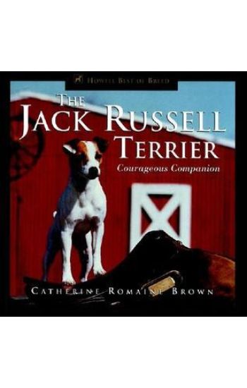The Jack Russell Terrier