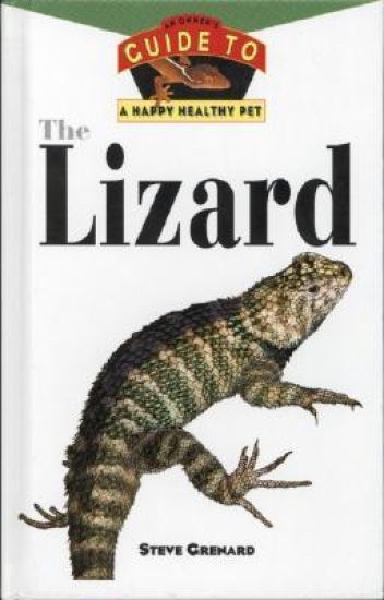 Lizards